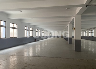 龜山區獨棟廠房