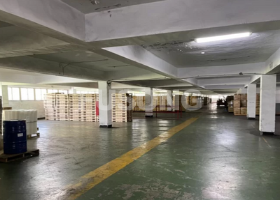 觀音區獨棟廠房